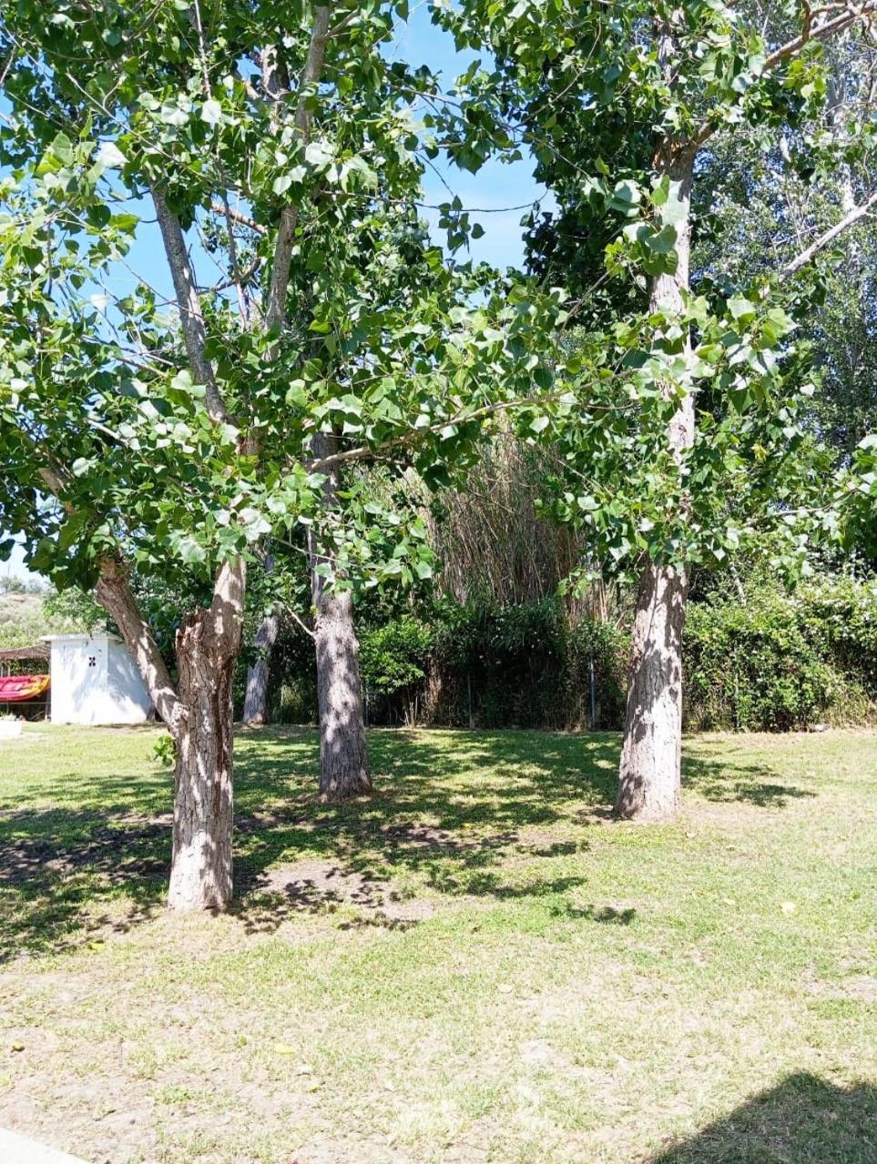 Villa Elena Ormos Panagias Exterior foto